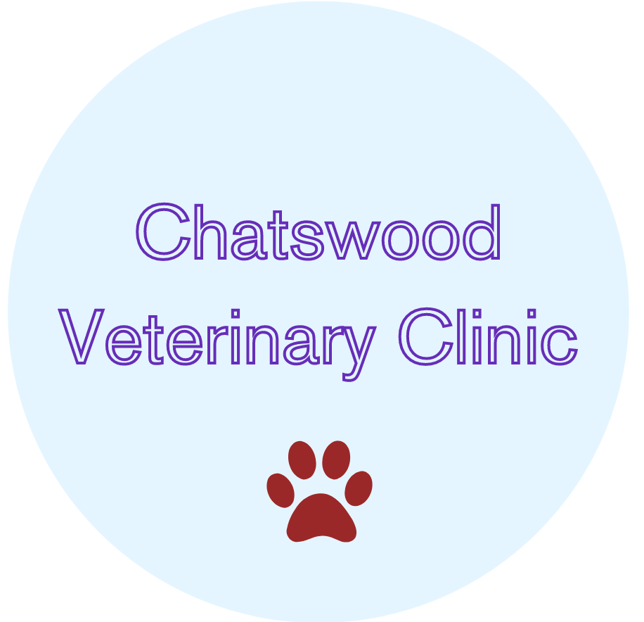 chatswoodvet
