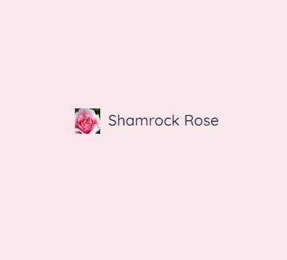 ShamrockRoseTreasures