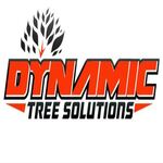 dynamictreesolutionsau