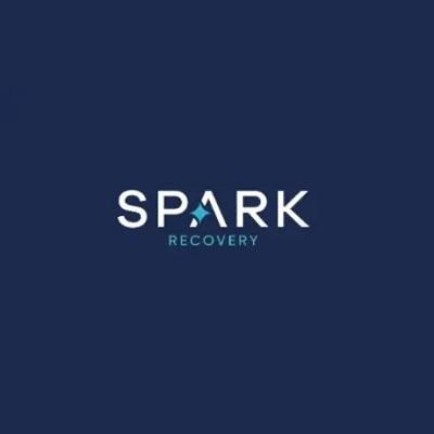 SparkRecovery