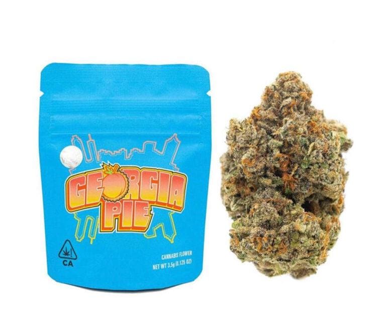 georgiapiestrain