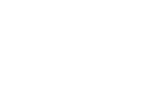 bearbrothersroofing