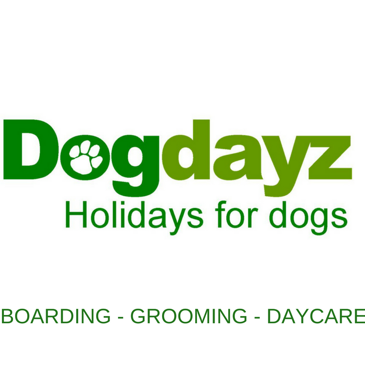 dogdayz