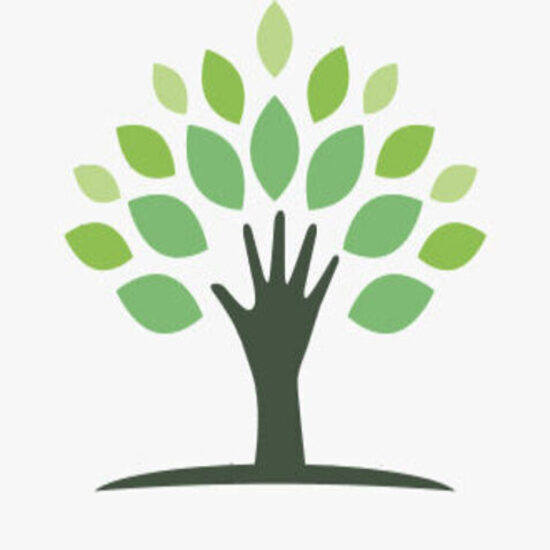 drwearwellness