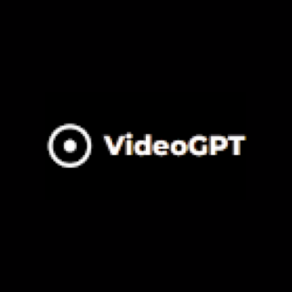 Videogpt