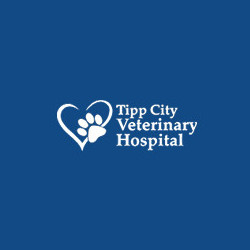 tippvet