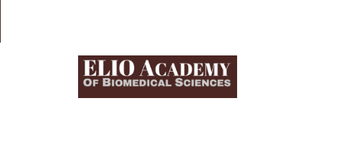 ElioAcademy