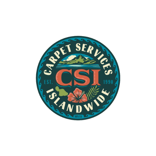 csicarpetcleaners