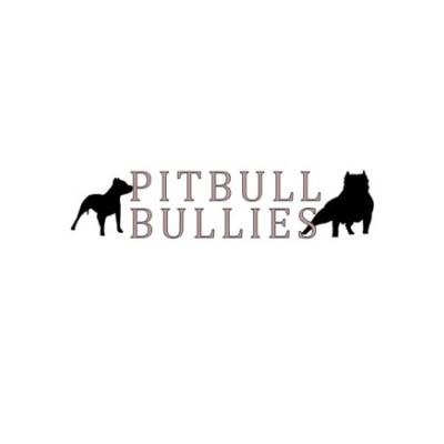 pitbullbullies